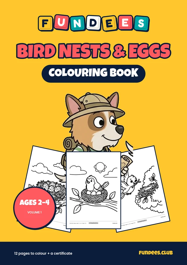 Bird Nests & Eggs coloring book cover, Ages 2–4, volume 1
