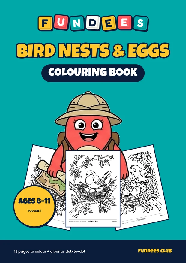 Bird Nests & Eggs coloring book cover, Ages 8–11, volume 1