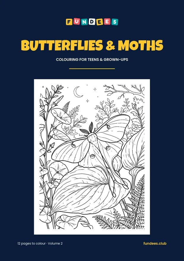 Butterflies & Moths coloring book cover, Teens & grown-ups, volume 2
