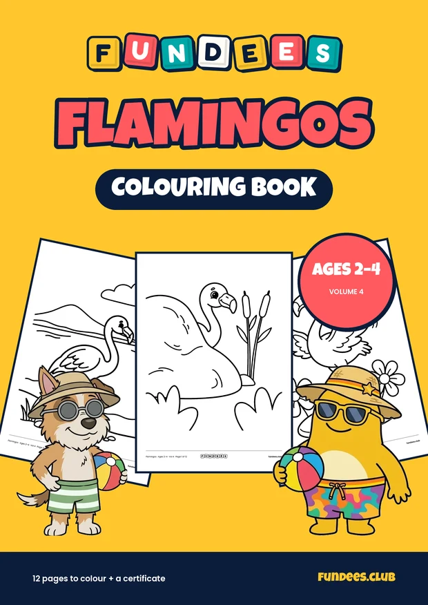 Flamingos coloring book cover, Ages 2–4, volume 4