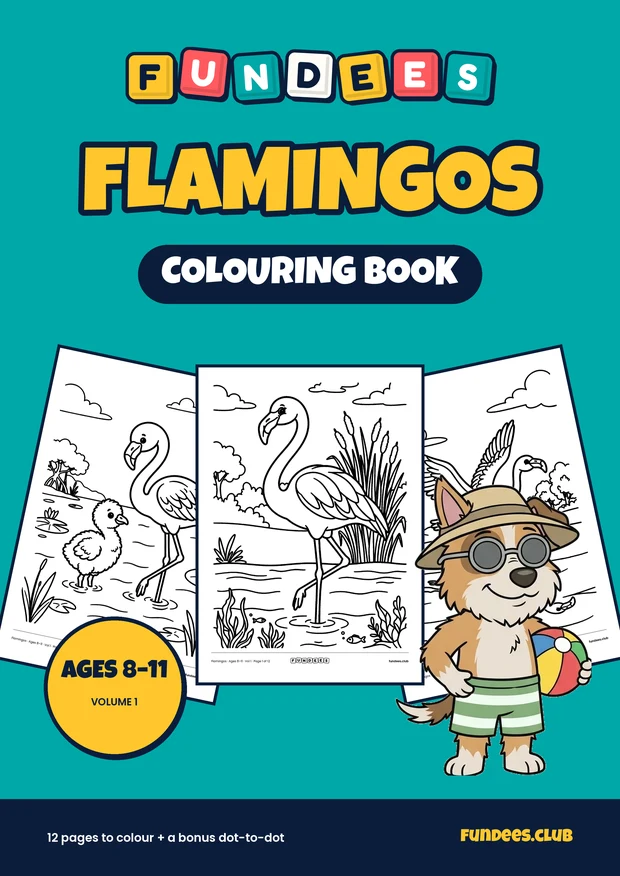 Flamingos coloring book cover, Ages 8–11, volume 1