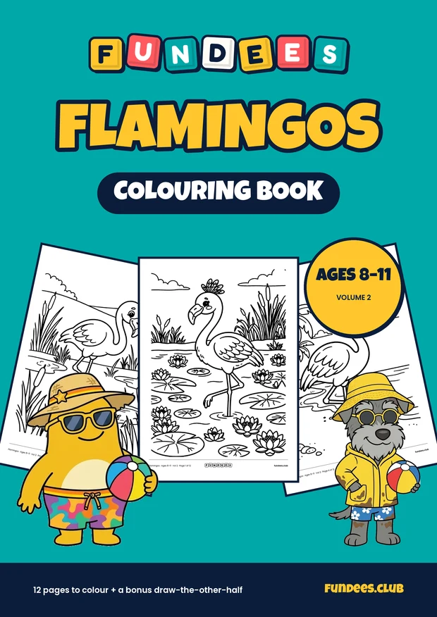 Flamingos coloring book cover, Ages 8–11, volume 2