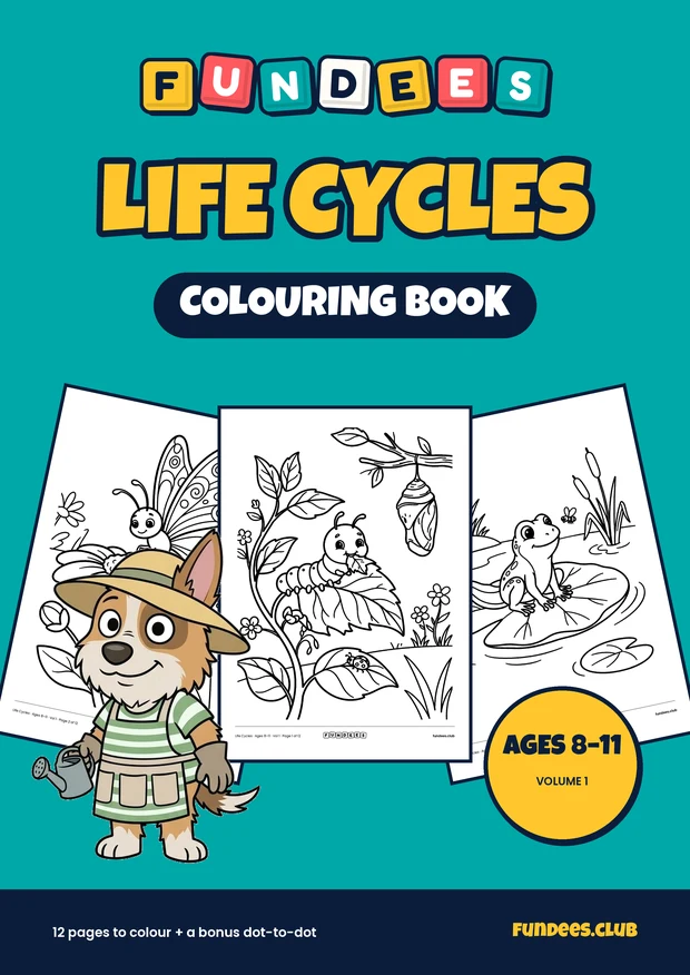 Life Cycles coloring book cover, Ages 8–11, volume 1