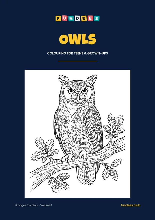 Owls coloring book cover, Teens & grown-ups, volume 1