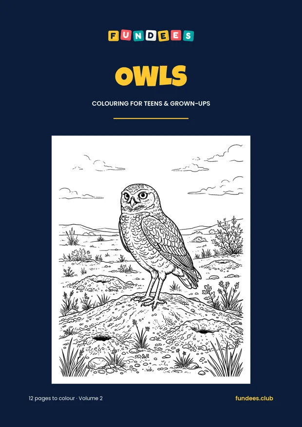 Owls coloring book cover, Teens & grown-ups, volume 2