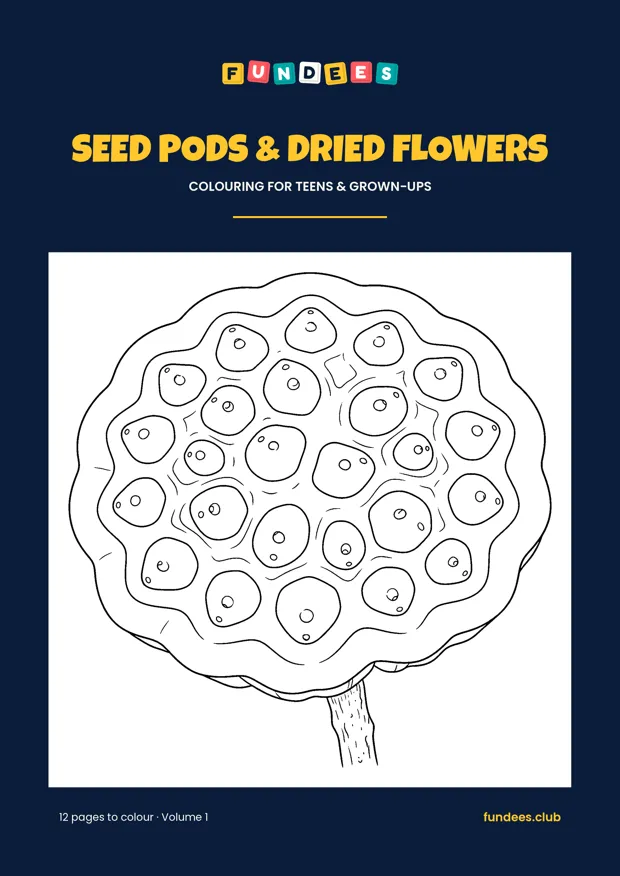 Seed Pods & Dried Flowers coloring book cover, Teens & grown-ups, volume 1